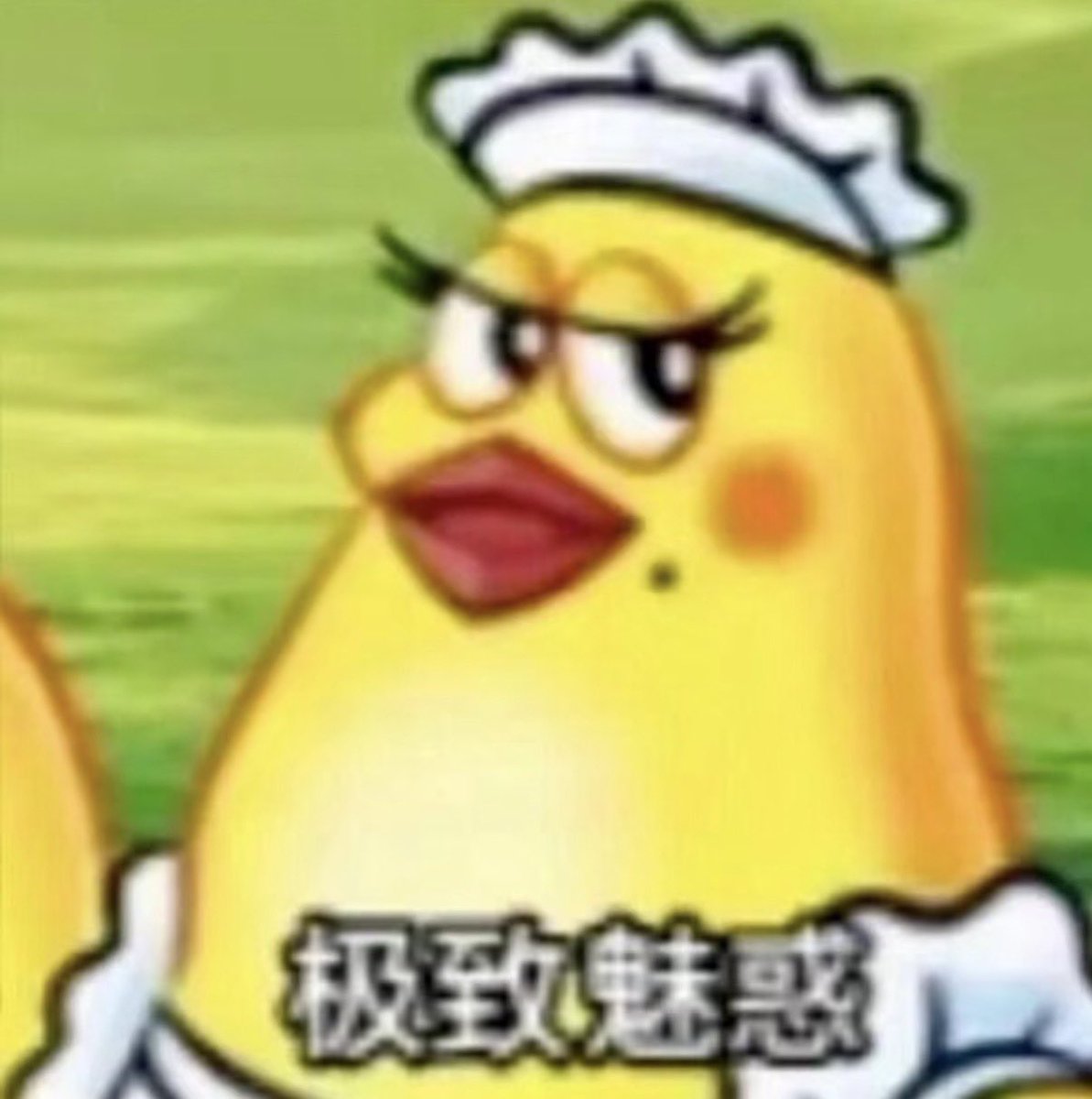 甜美商务猫 tweet media