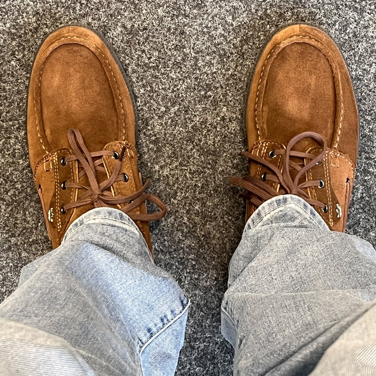 kingcibo tweet media