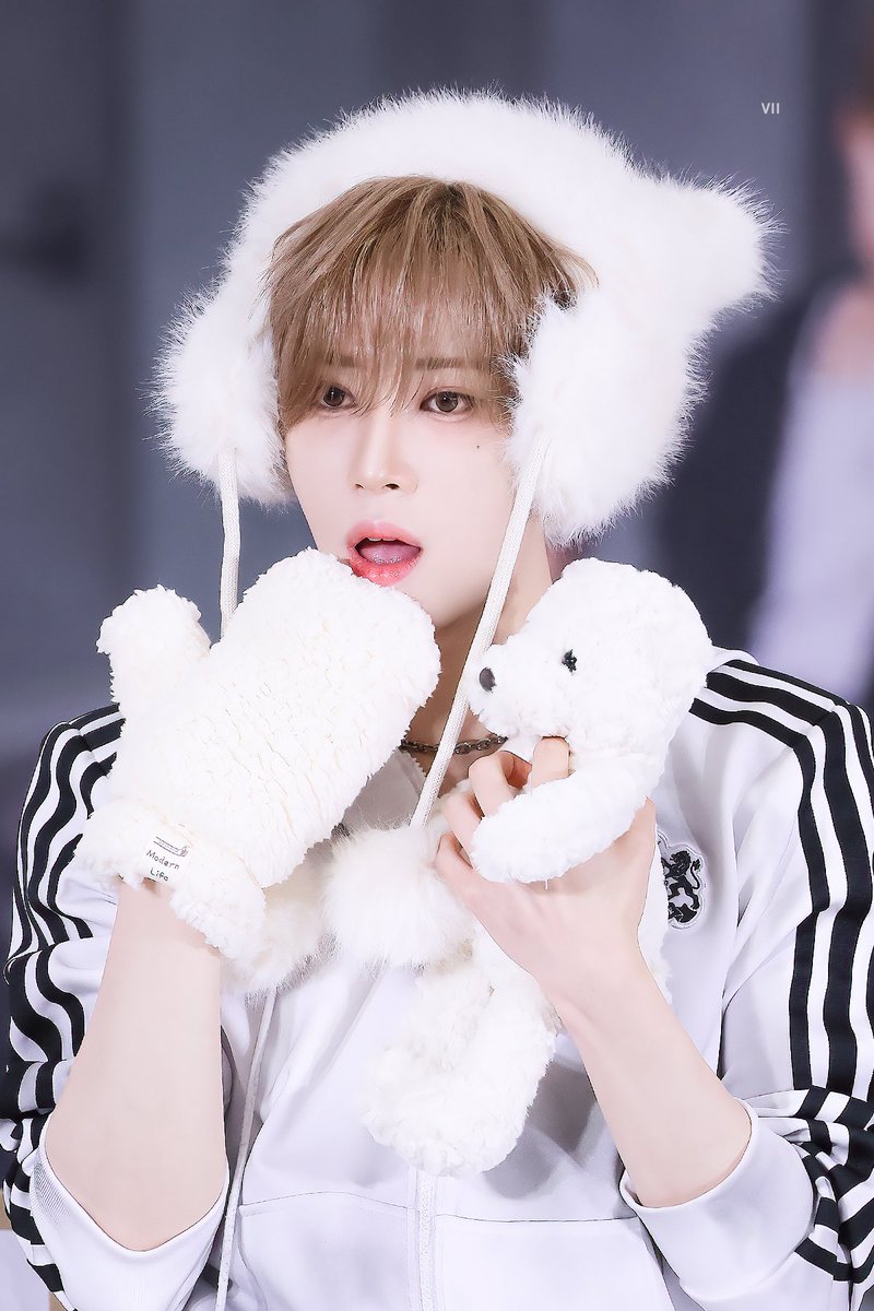 77_luck_'s tweet photo. 260308 팬싸인회🌹💜

#아르노 #ARNO #장지아하오  #ZHANGJIAHAO #ALD1    #알파드라이브원    #ALPHADRIVEONE https://t.co/OmNtTXjFqD