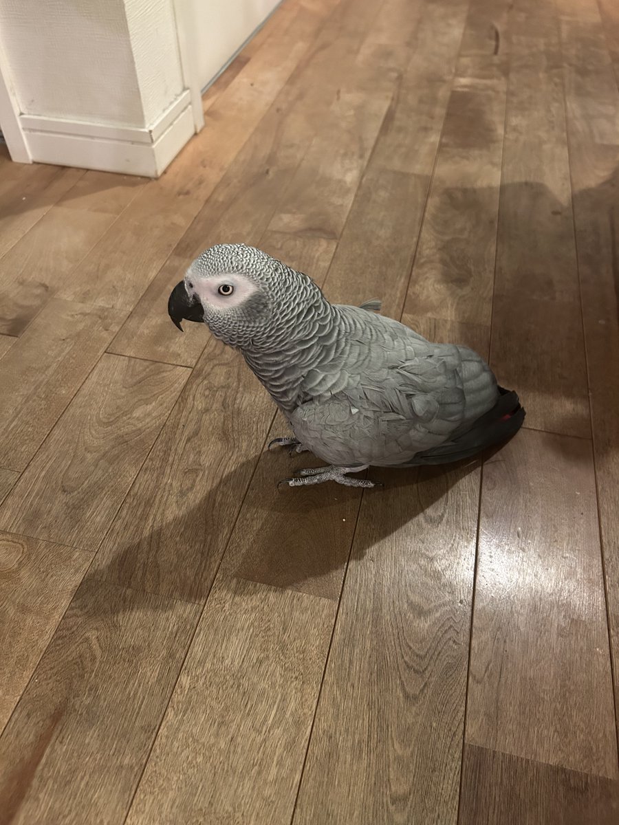 認定NPO法人TSUBASA -新施設クラファン達成しました！- tweet media