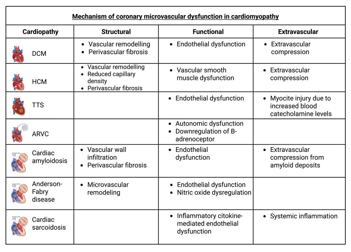 Reviews in Cardiovascular Medicine tweet media