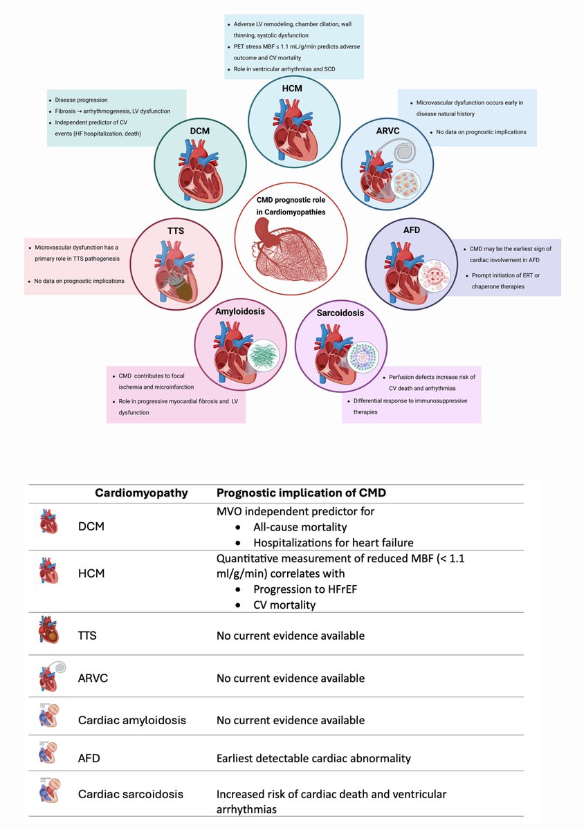 Reviews in Cardiovascular Medicine tweet media