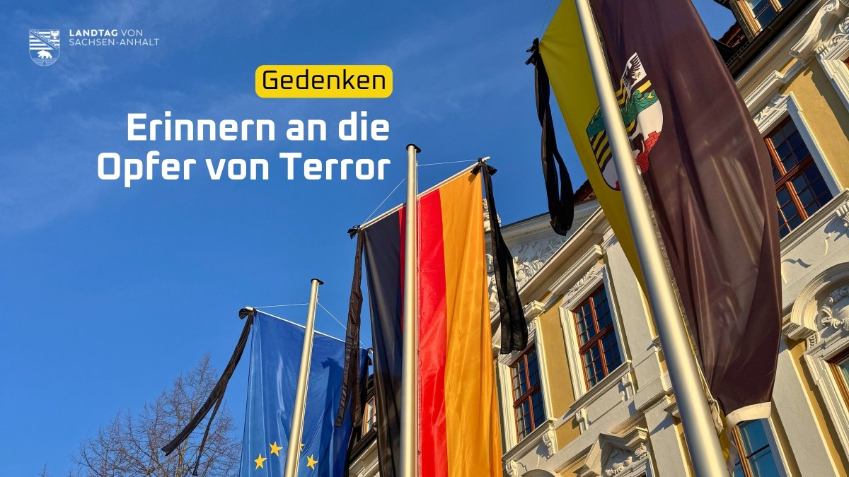 LT Sachsen-Anhalt tweet media