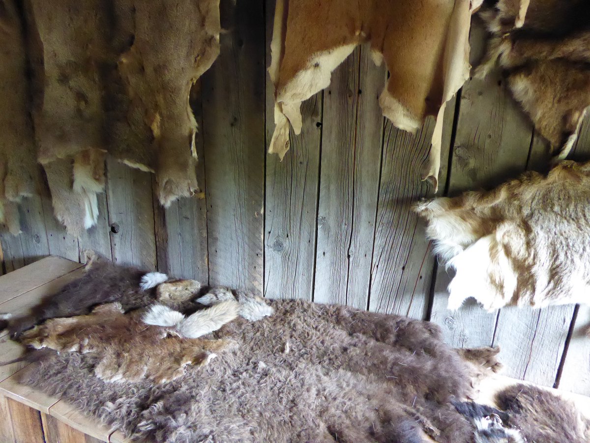 Family Well Traveled tweet media