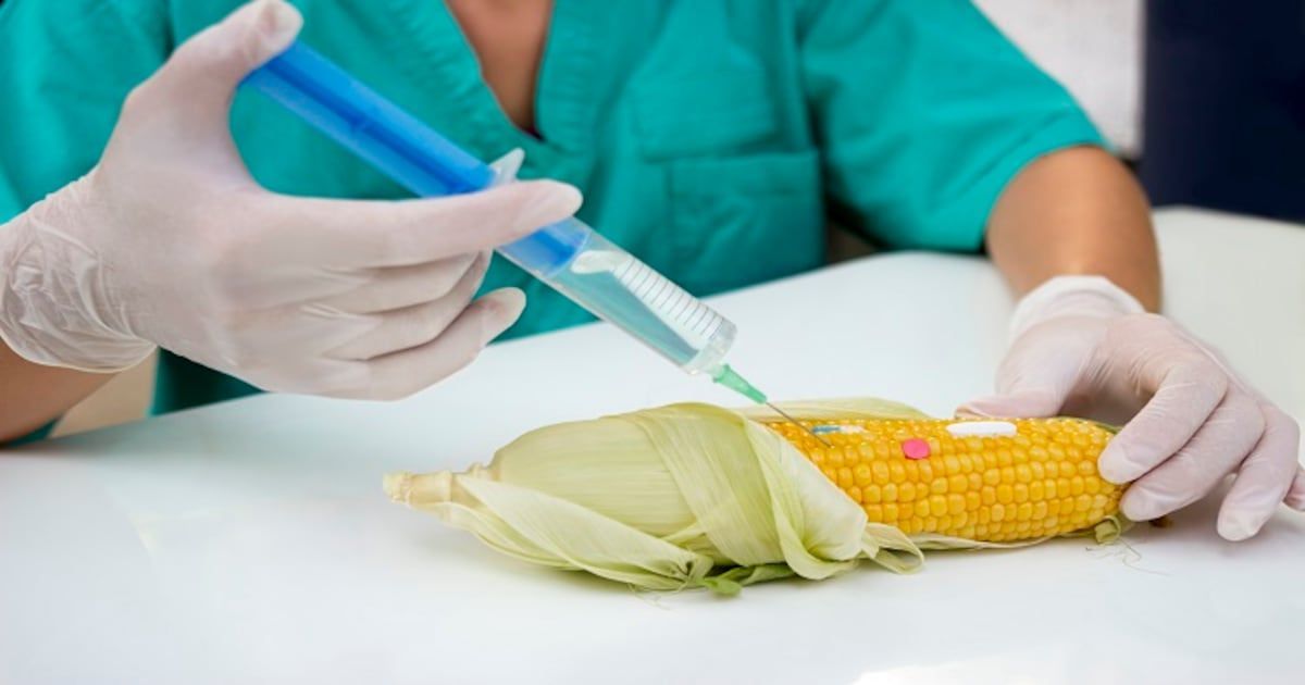 FoodNavAsia tweet media