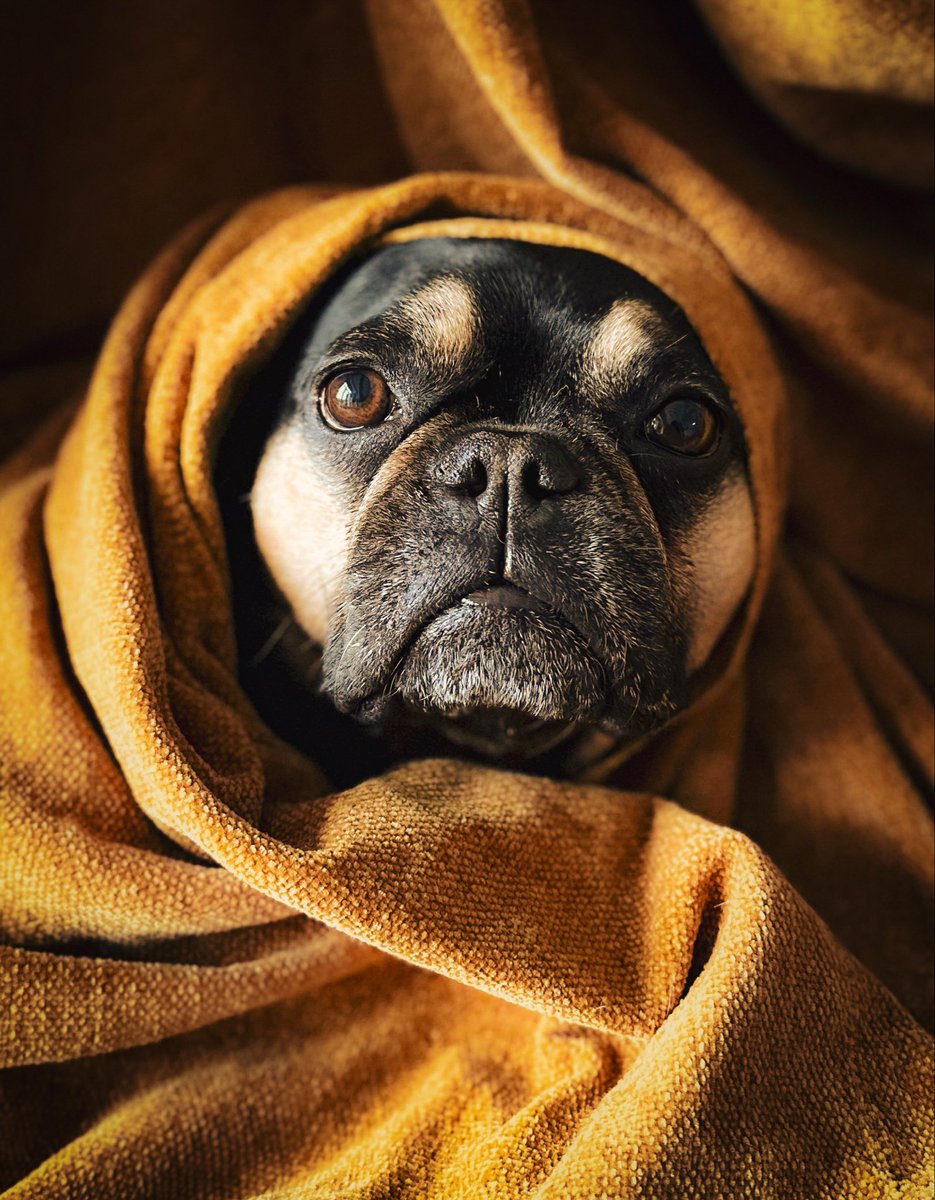 Pinot & Merlot tweet media