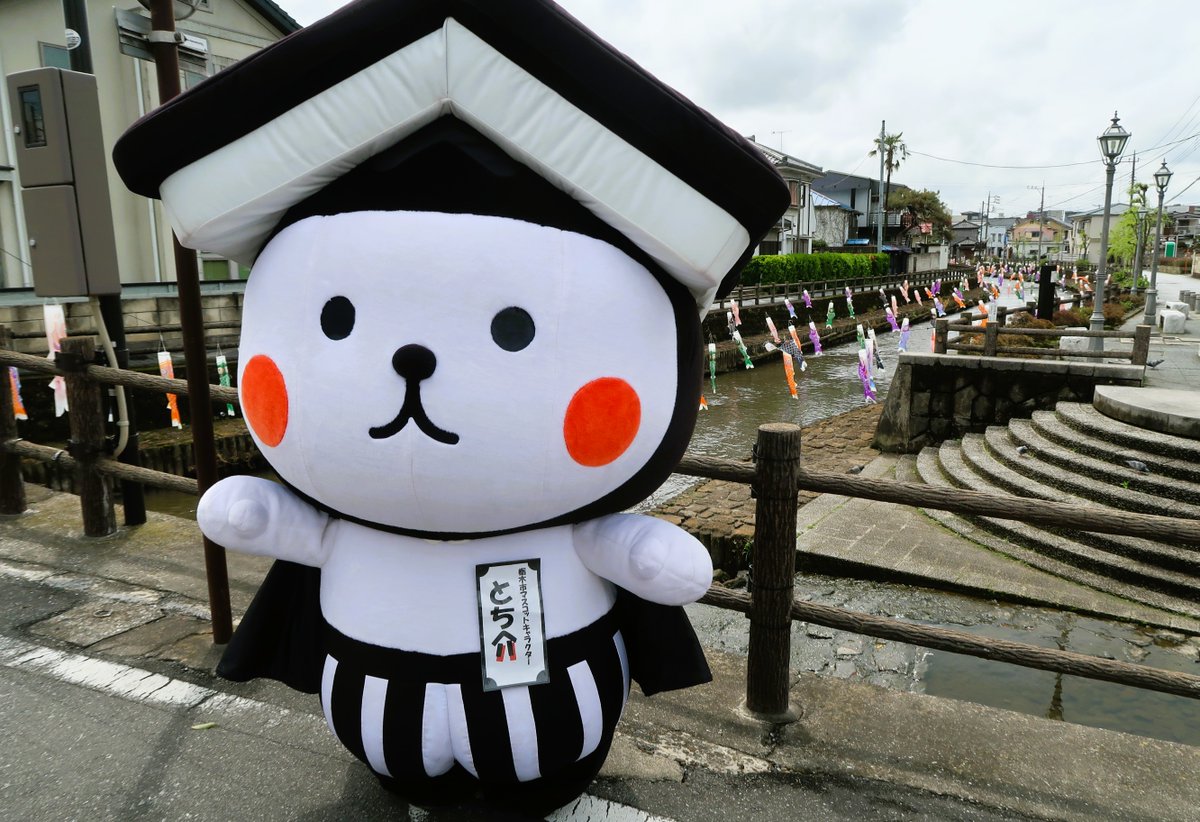 Tochi_suke's tweet photo. おはよ～っ蔵|ㅅ<●)ﾉｼ
ことしも巴波川(うずまがわ)では 
1151ぴきの こいのぼりさんたちが 
きもちよさそうに すいすいしてるよっ🎏
5月15日(金)までみられるから
あったかくなったら のんびりおさんぽ
してみてねぇ♪(∩●•ㅅ•●)⊃ﾃｸ..ﾃｸ..
#とち介 https://t.co/3Oh4mU924Z