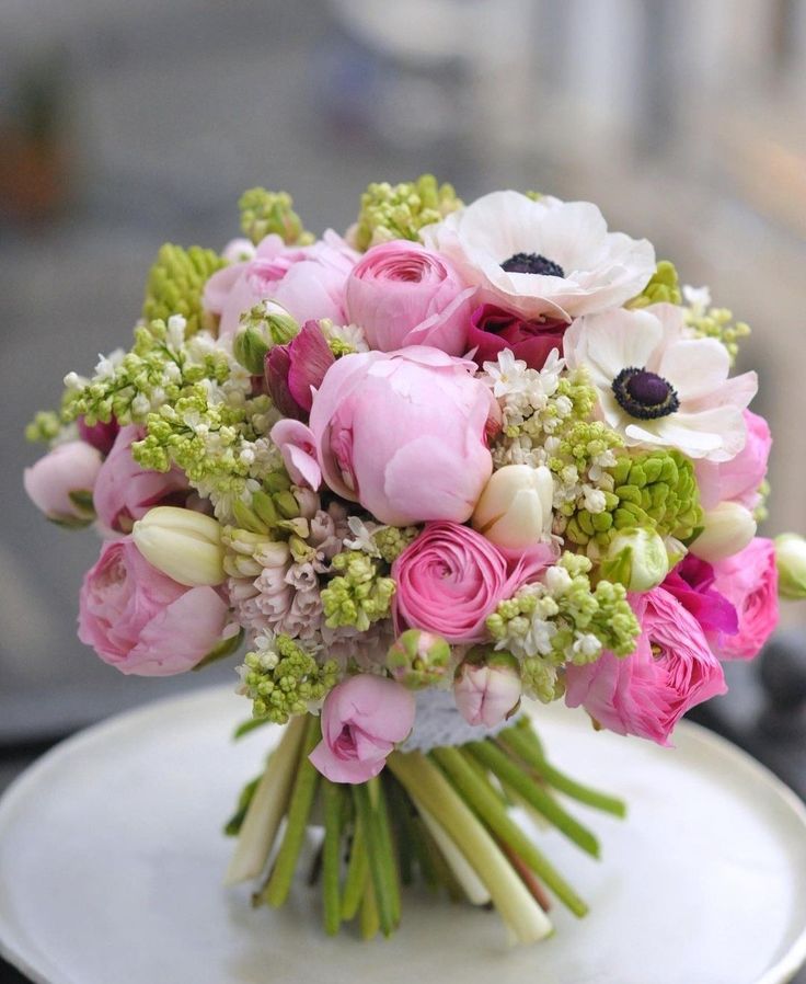 FrancescaA84345's tweet image. Buongiorno Maria 🌹🍀🥰
Un abbraccio cara Anna 💞♥️🌹🍀