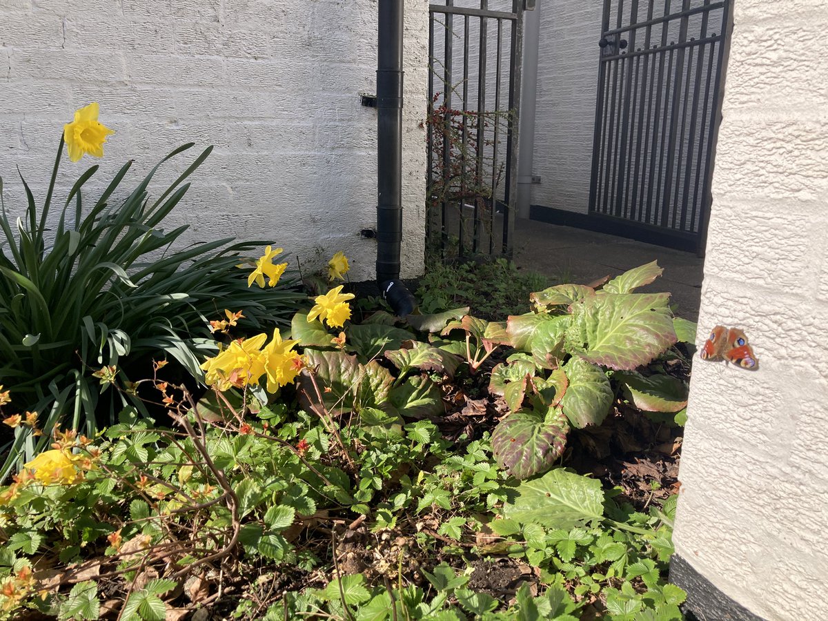 Sandy De Born tweet media