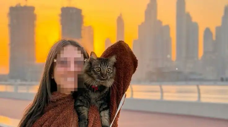 Greek City Times tweet media