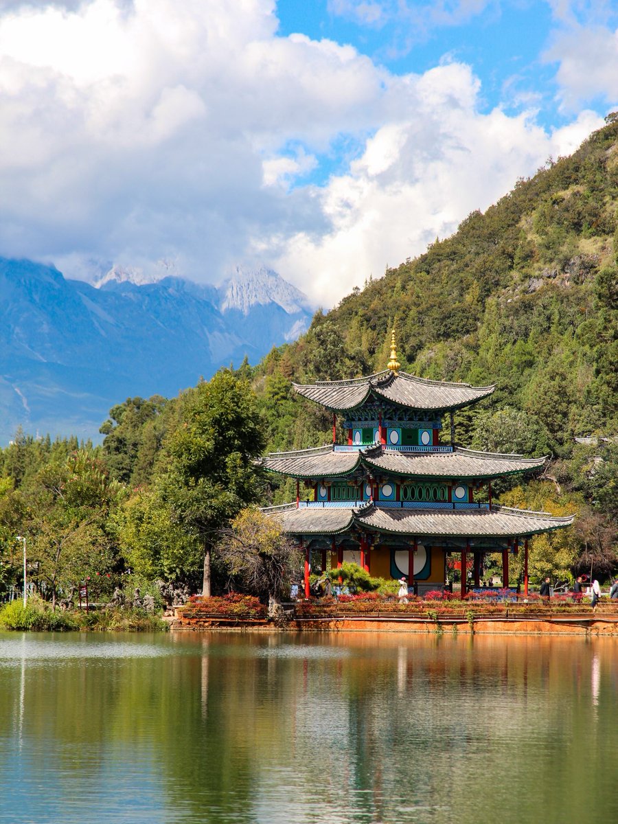 Globe Tucker tweet media