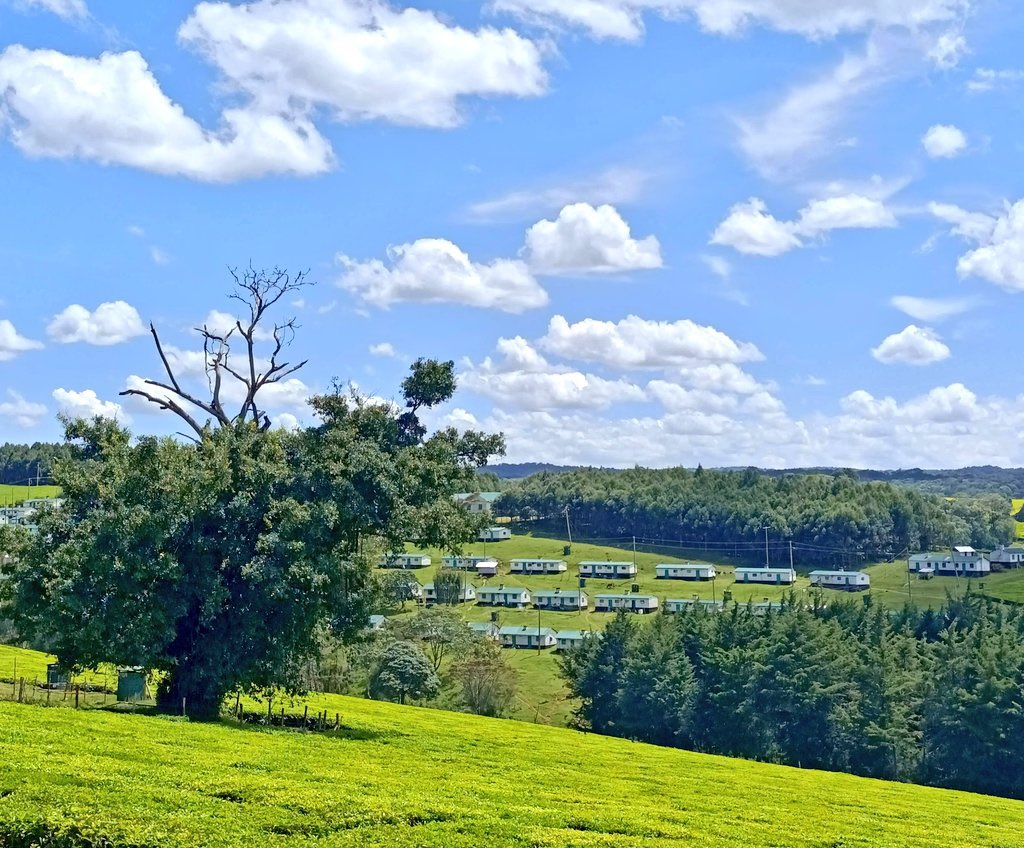 Korir Weldon,MBA tweet media