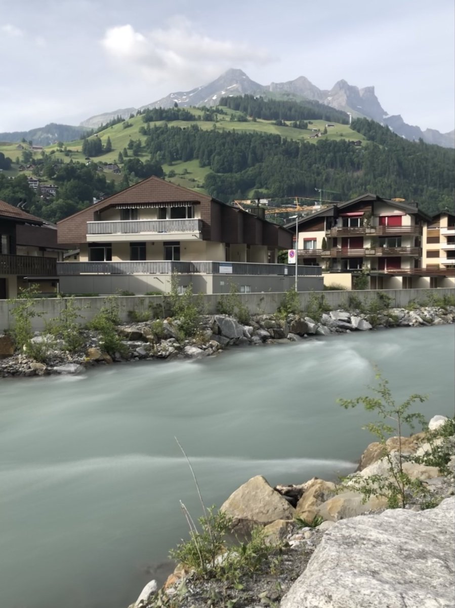 Dr. A.Mitra MS, PhD 🇺🇸🇨🇭 🇺🇸 🇮🇳 tweet media