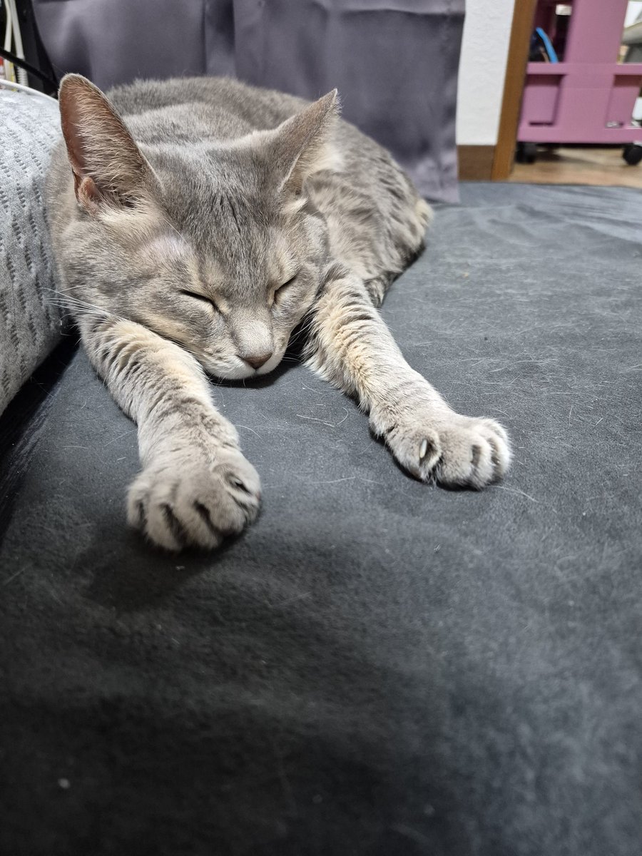 BOOViES_'s tweet photo. それなりに歳とったけどイライラするもんはやっぱイライラする。
我慢は出来ないと自覚しました。 https://t.co/kY1ojanDwP