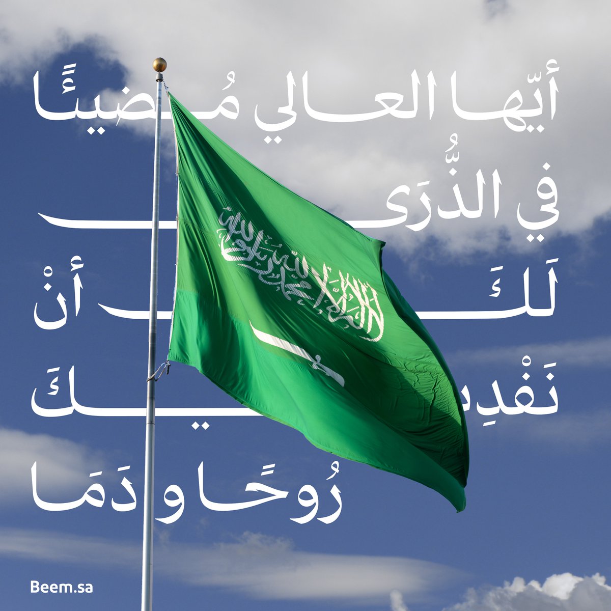 Beem | بيـــم tweet media