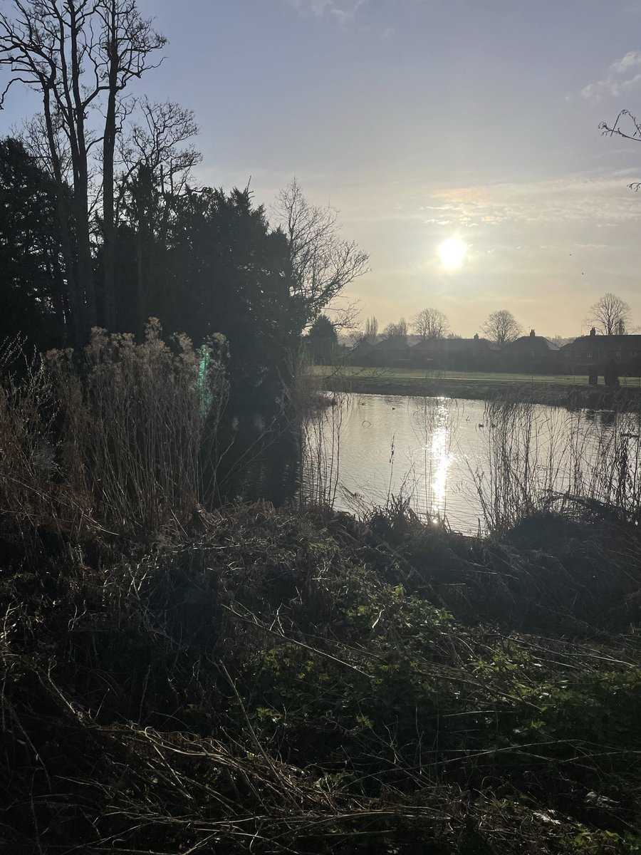 denise dean tweet media