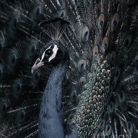 i ♡'s n!!! (@cilentrop) on Twitter photo 