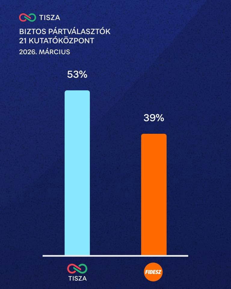 Skogvandrer tweet media