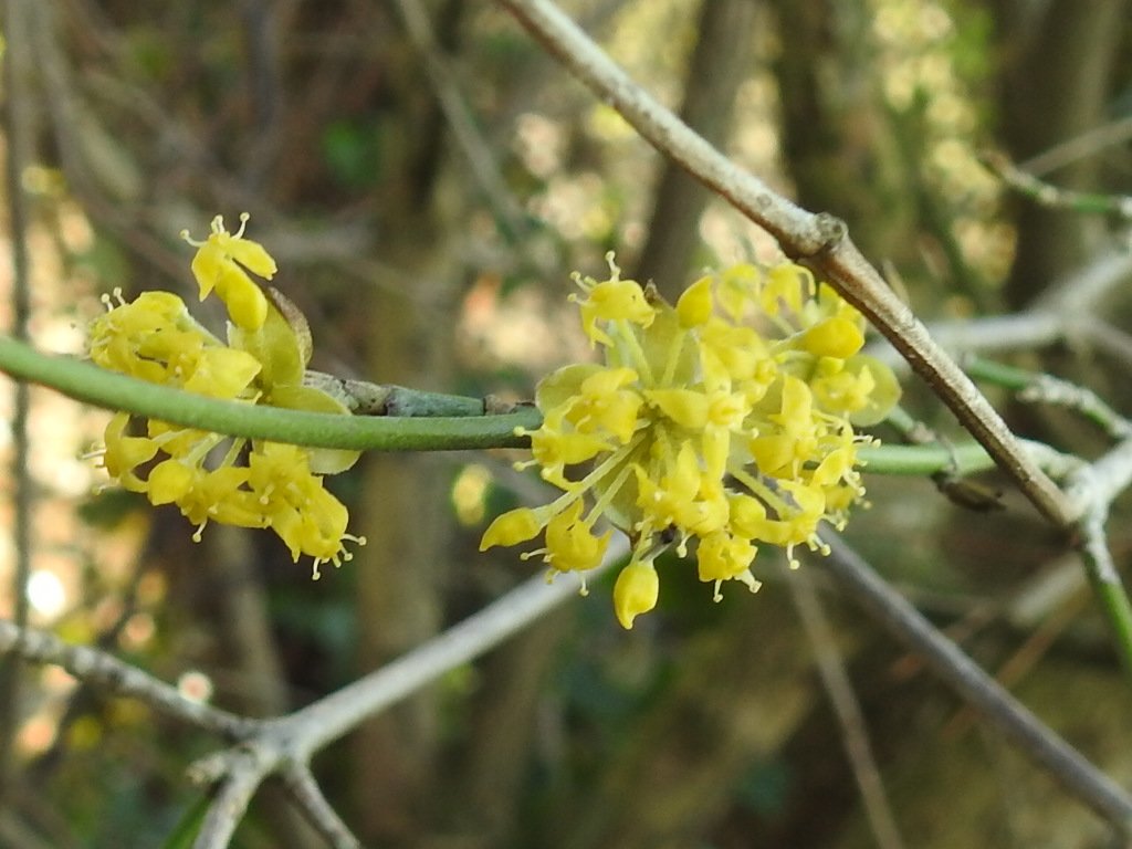 Janneke van der Wal tweet media