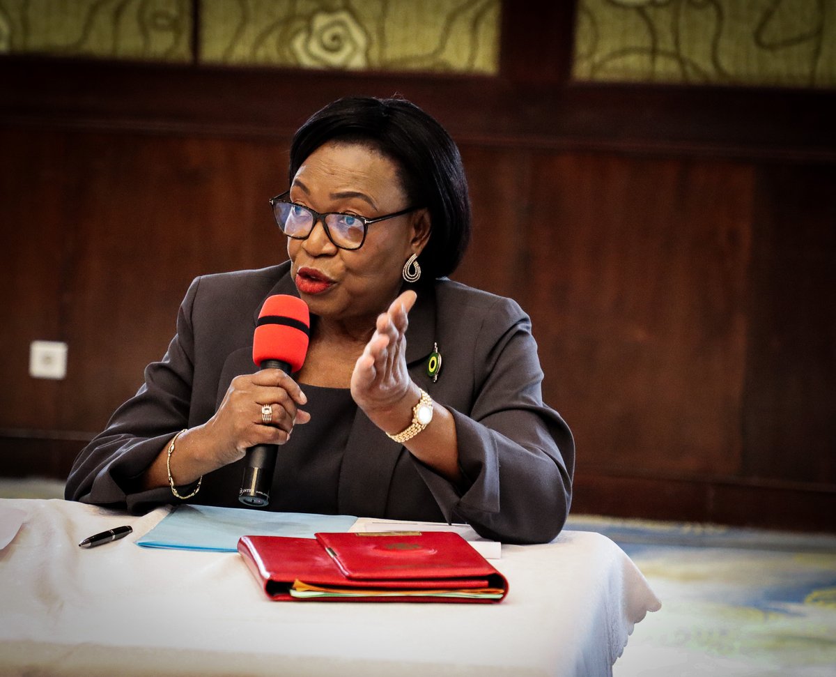 PNUD GABON tweet media