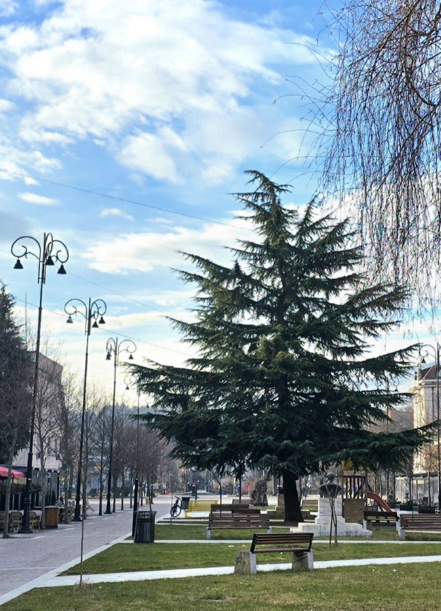 VisitPeja's tweet photo. Mirëmëngjesi nga Peja e 🍀gjelbēr dhe vitale 😍
°
#visitpeja #pejatourism #peja #kosova #visitkosova https://t.co/cSaXVSC799