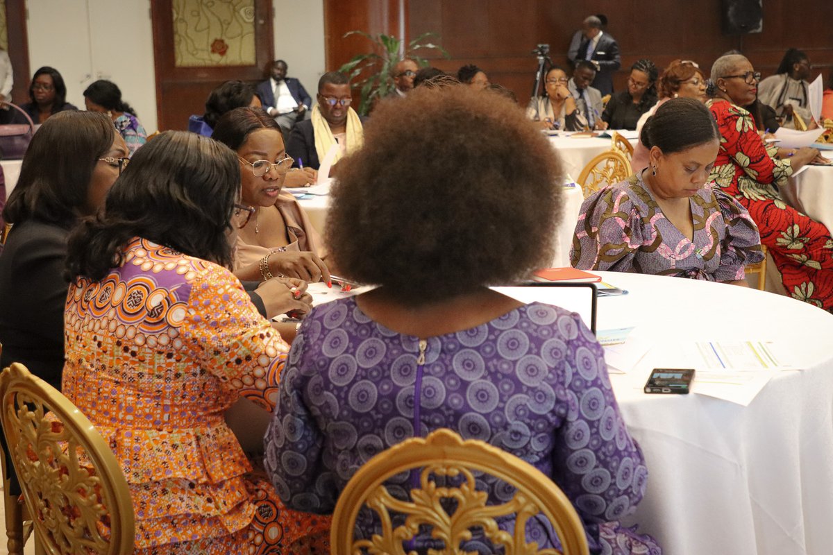 PNUD GABON tweet media