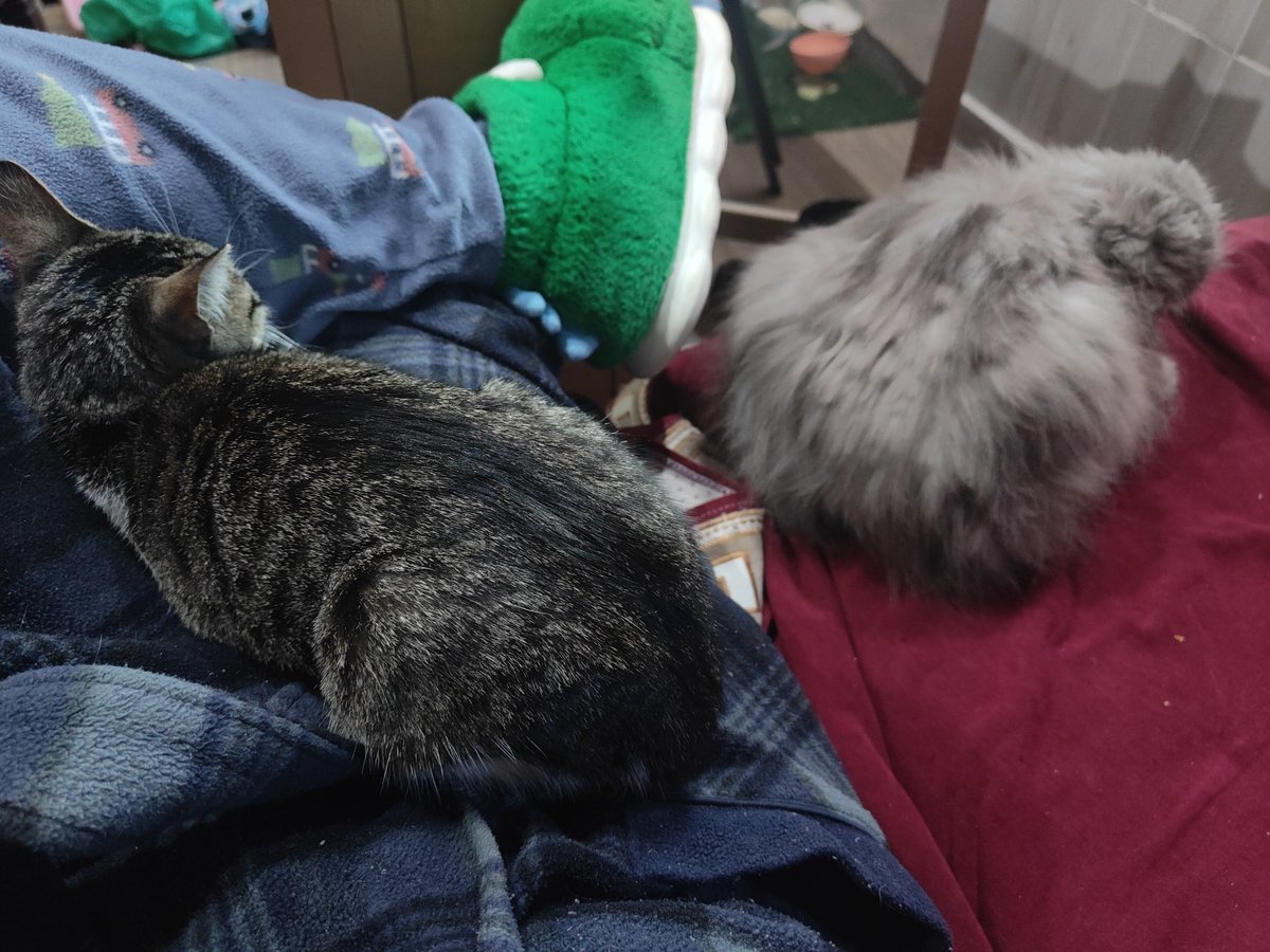 Jean Louis Andreck tweet media