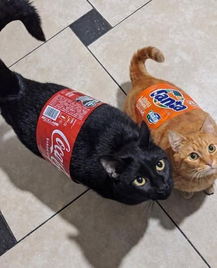 ApacheRossoNero🔴⚫💀 tweet media