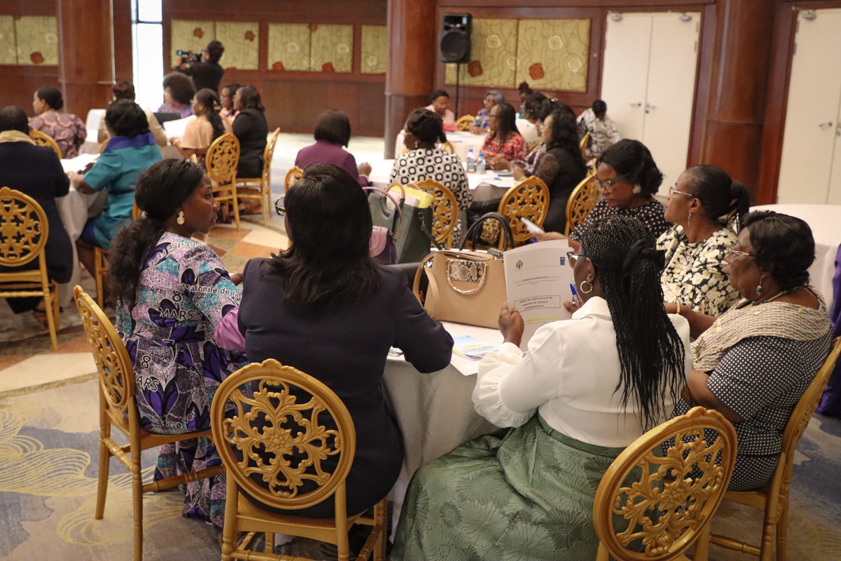 PNUD GABON tweet media