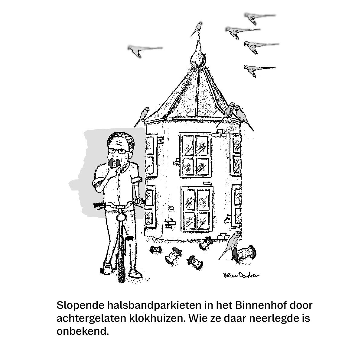 Halsbandparkieten knagen aan elektriciteitskabels bij renovatie Binnenhof, valk ingezet tegen overlast ad.nl/den-haag/halsb…