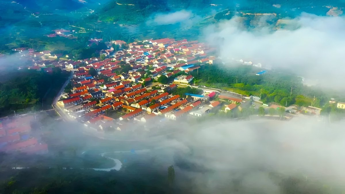 Discover Yantai tweet media