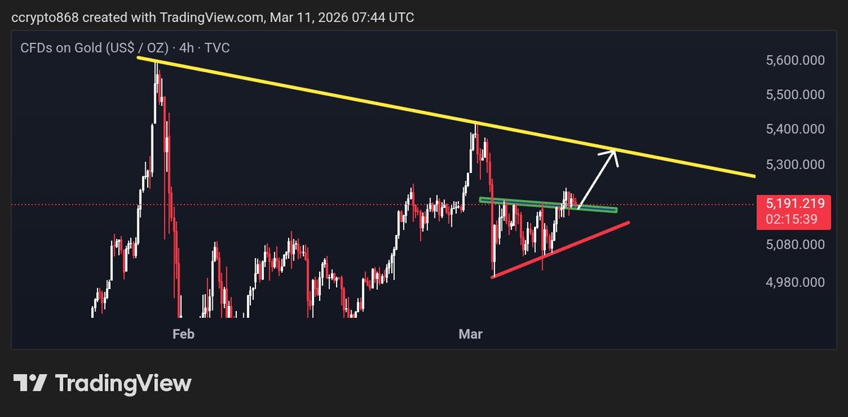 79 Trader ,₿, tweet media