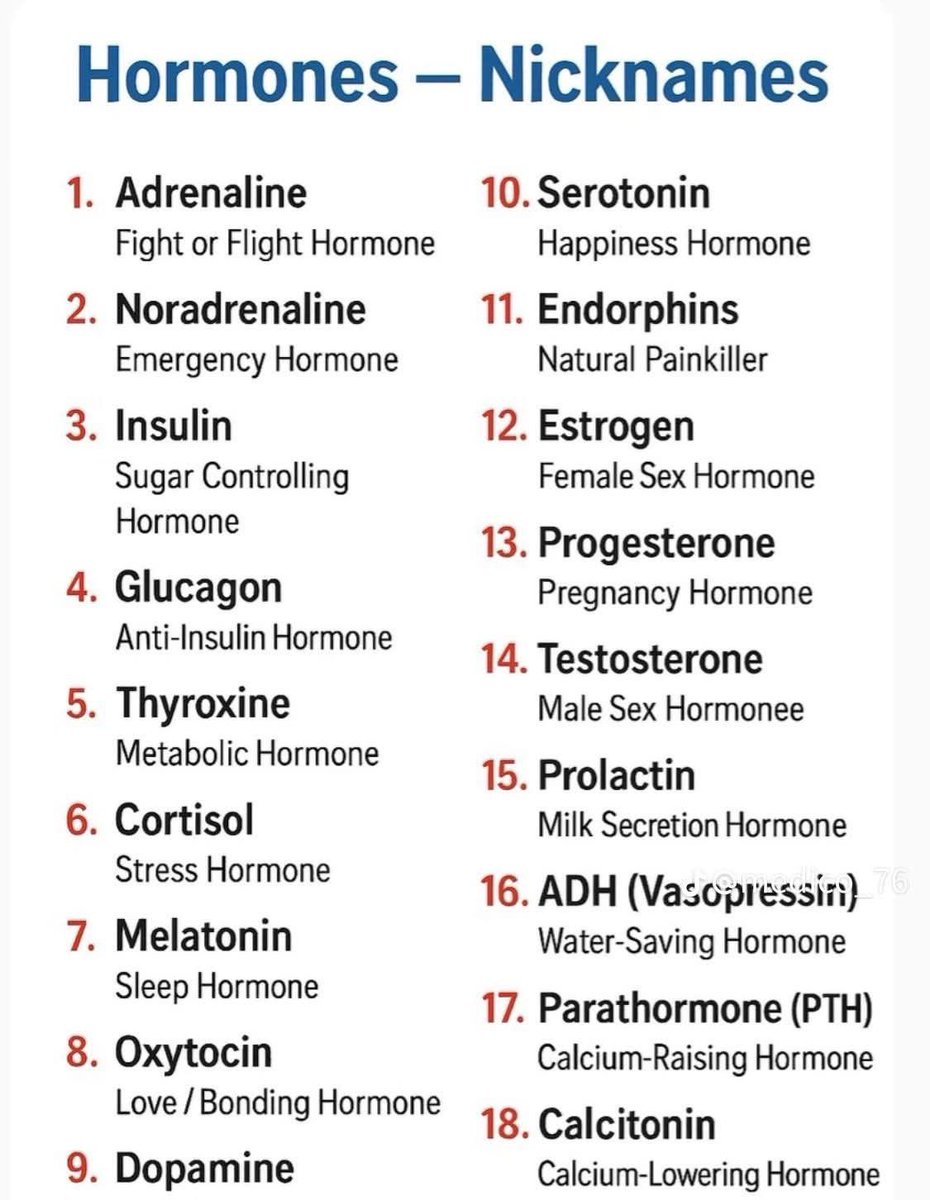 Learn Things tweet media