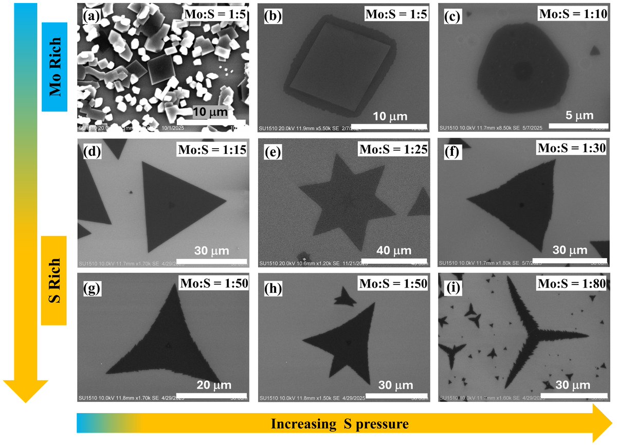 Nano_MDPI's tweet photo. Non-uniform precursor vapor in MoS₂ growth creates defects that degrade FET performance. Controlling the S pressure optimizes morphology and mobility.
Read the Editor's Choice paper: https://t.co/JyT7oCjSuQ
#Nanomaterials #MoS2 #ChemicalVaporDeposition #Semiconductors https://t.co/eZmTdbvGs8