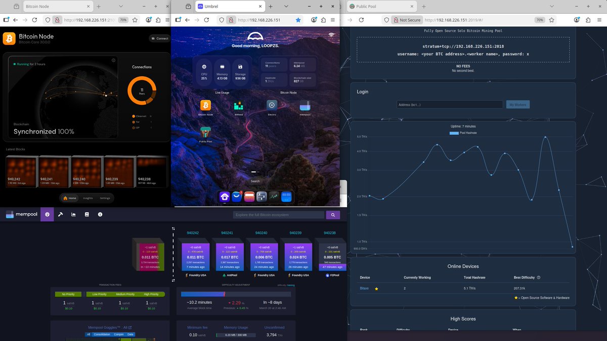 Cryptos Captain ©®◉ |∞/21M|BIP-555⛵⚡🐒🥥🌴🥥 tweet media