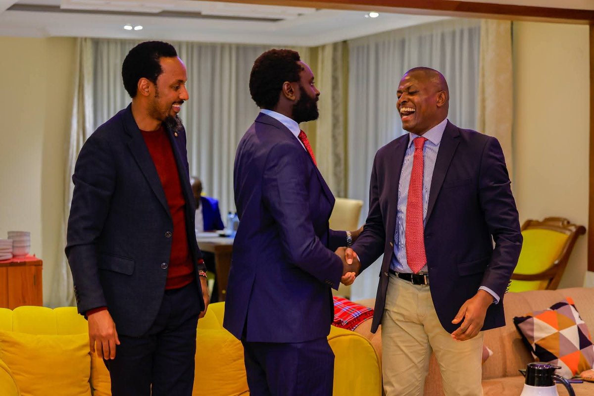 Sen. Methu Muhia tweet media