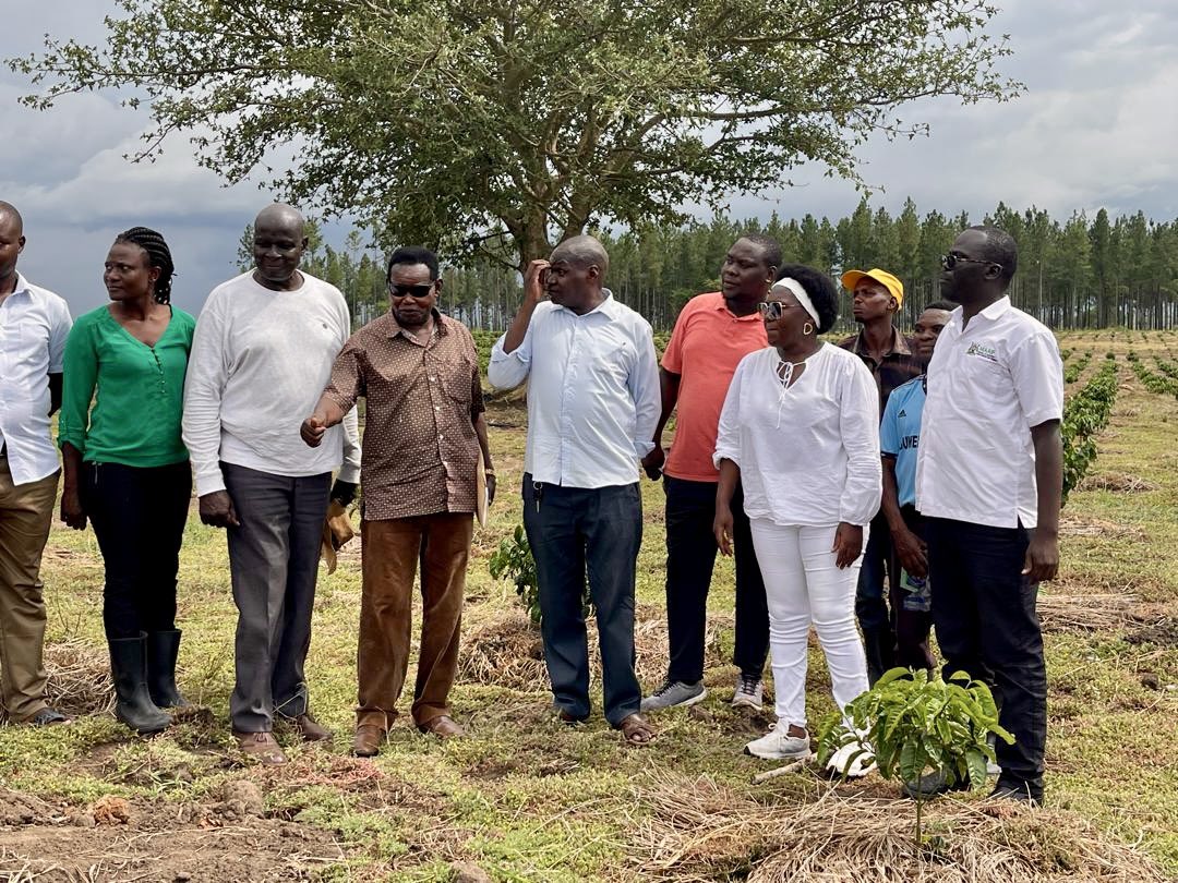 Operation Wealth Creation tweet media