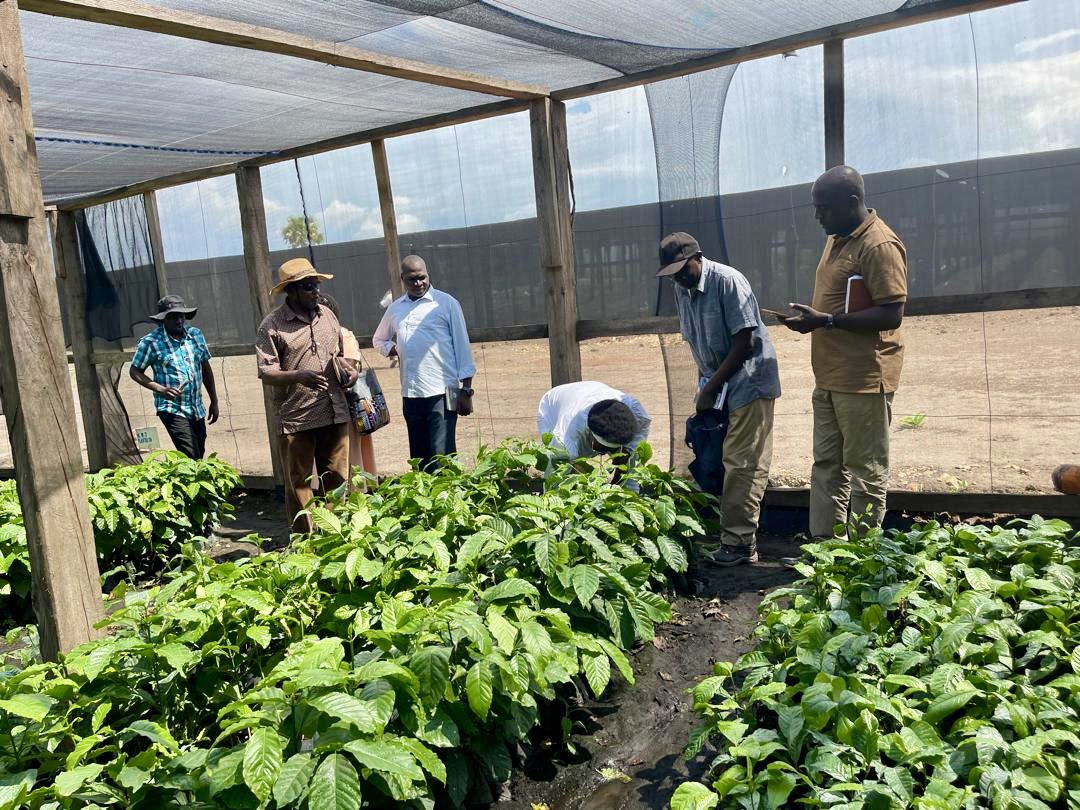 Operation Wealth Creation tweet media