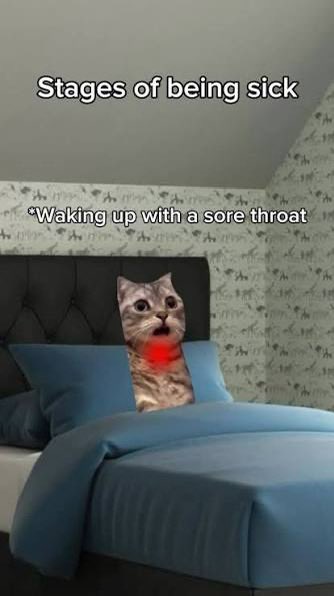 Gammastar⚙️🧪 tweet media