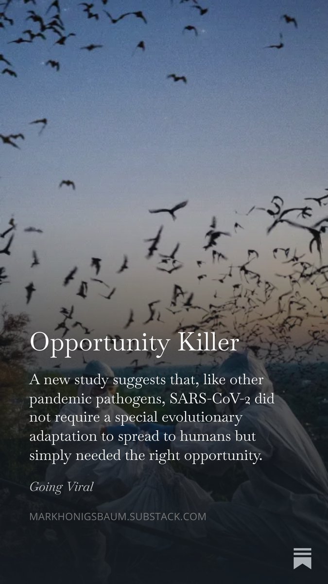 Mark Honigsbaum tweet media