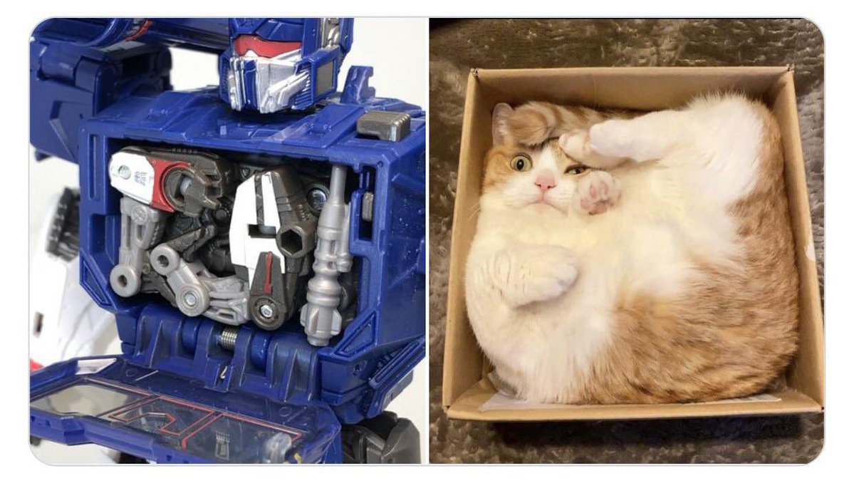 Transformers Den tweet media