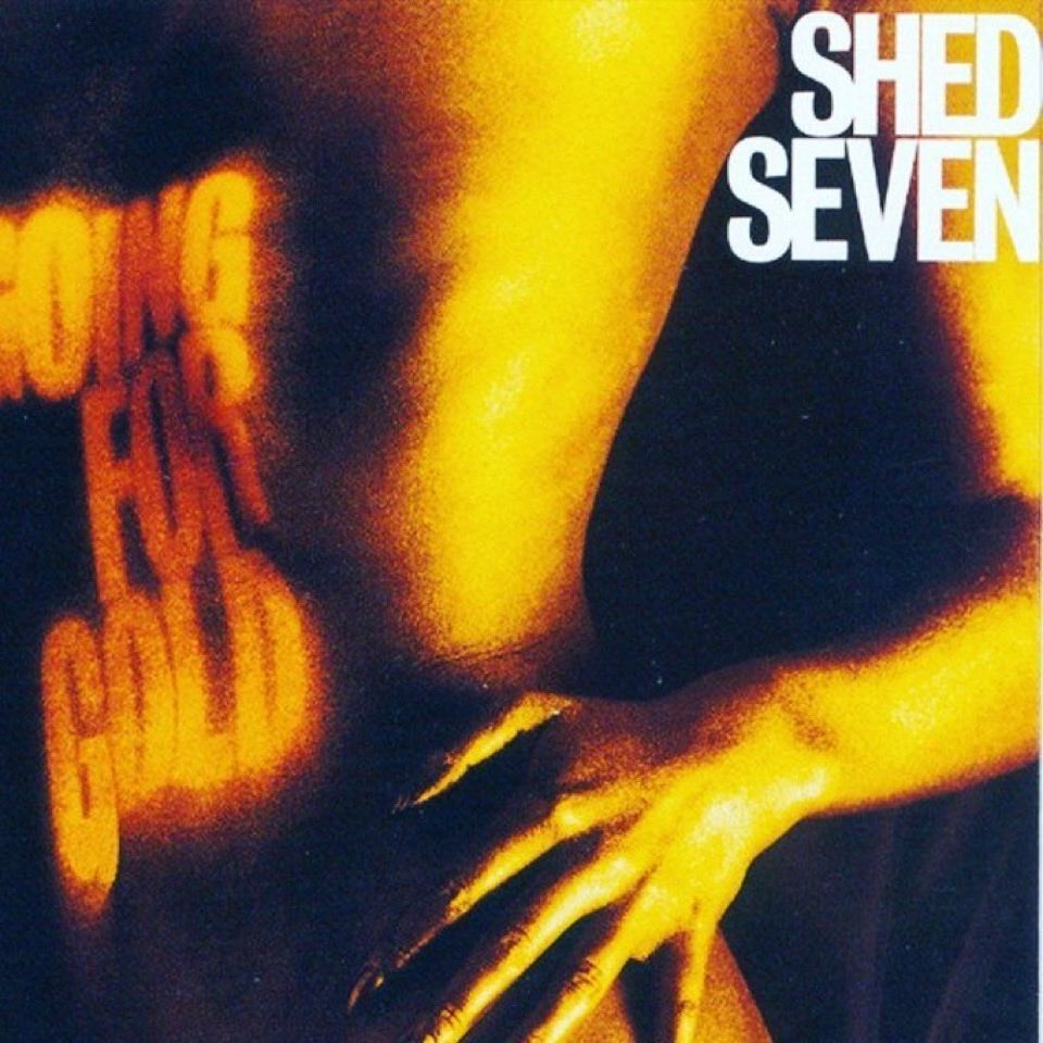 Shed Seven tweet media