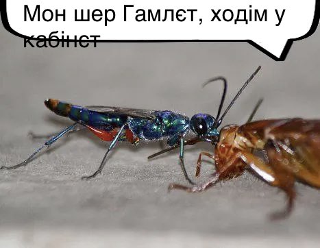 Middle-аграрій tweet media