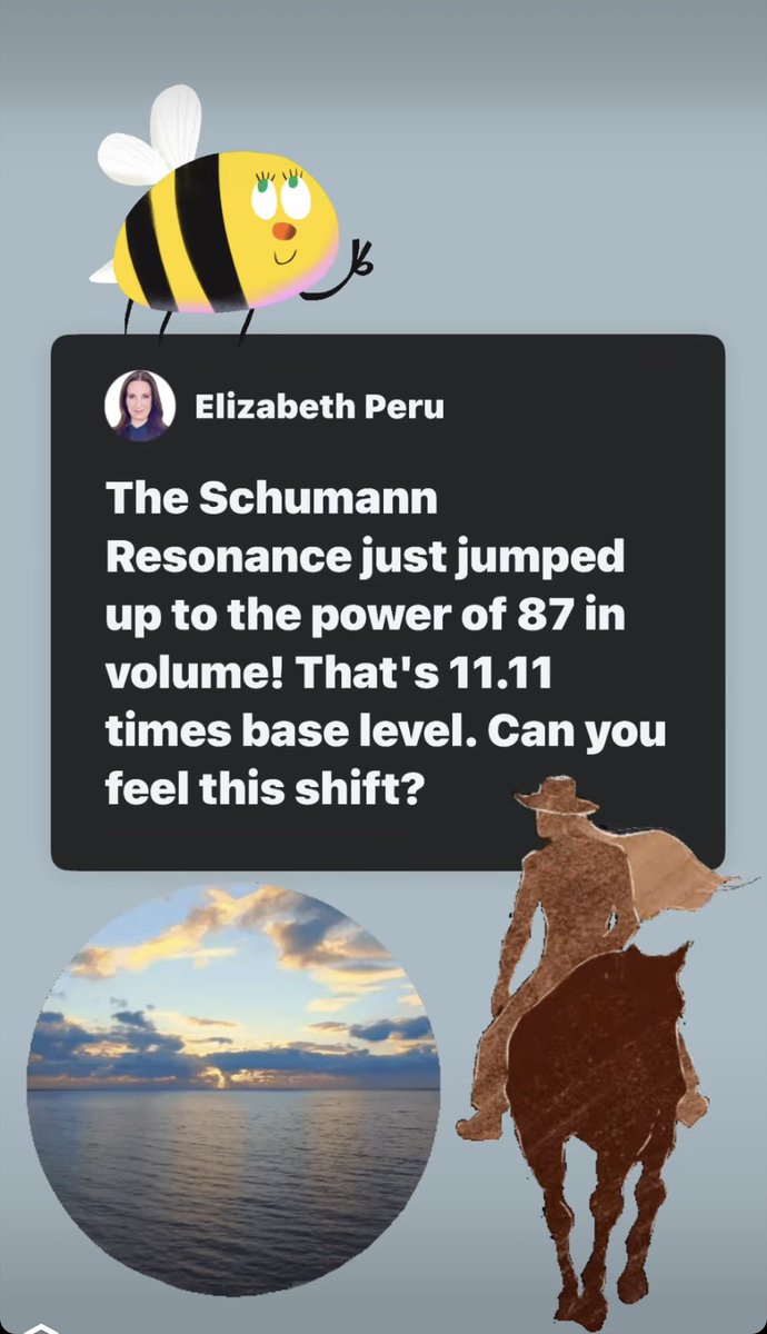 Erin O'Dowd tweet media