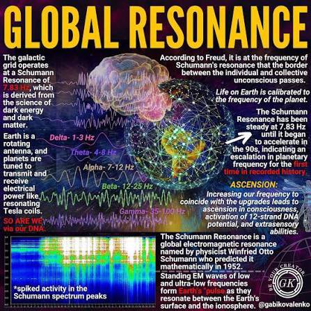 Erin O'Dowd tweet media