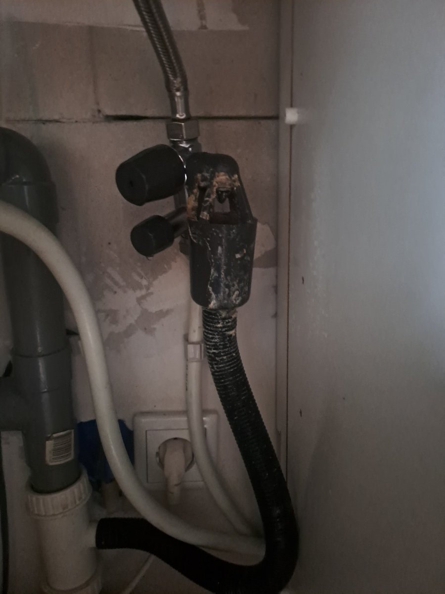 Willeke🐬🌻 tweet media