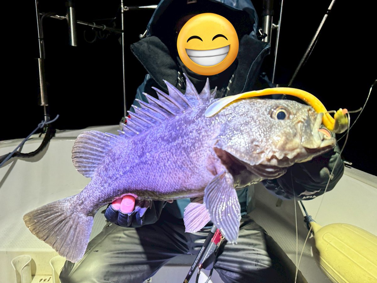 まきぽよ tweet media