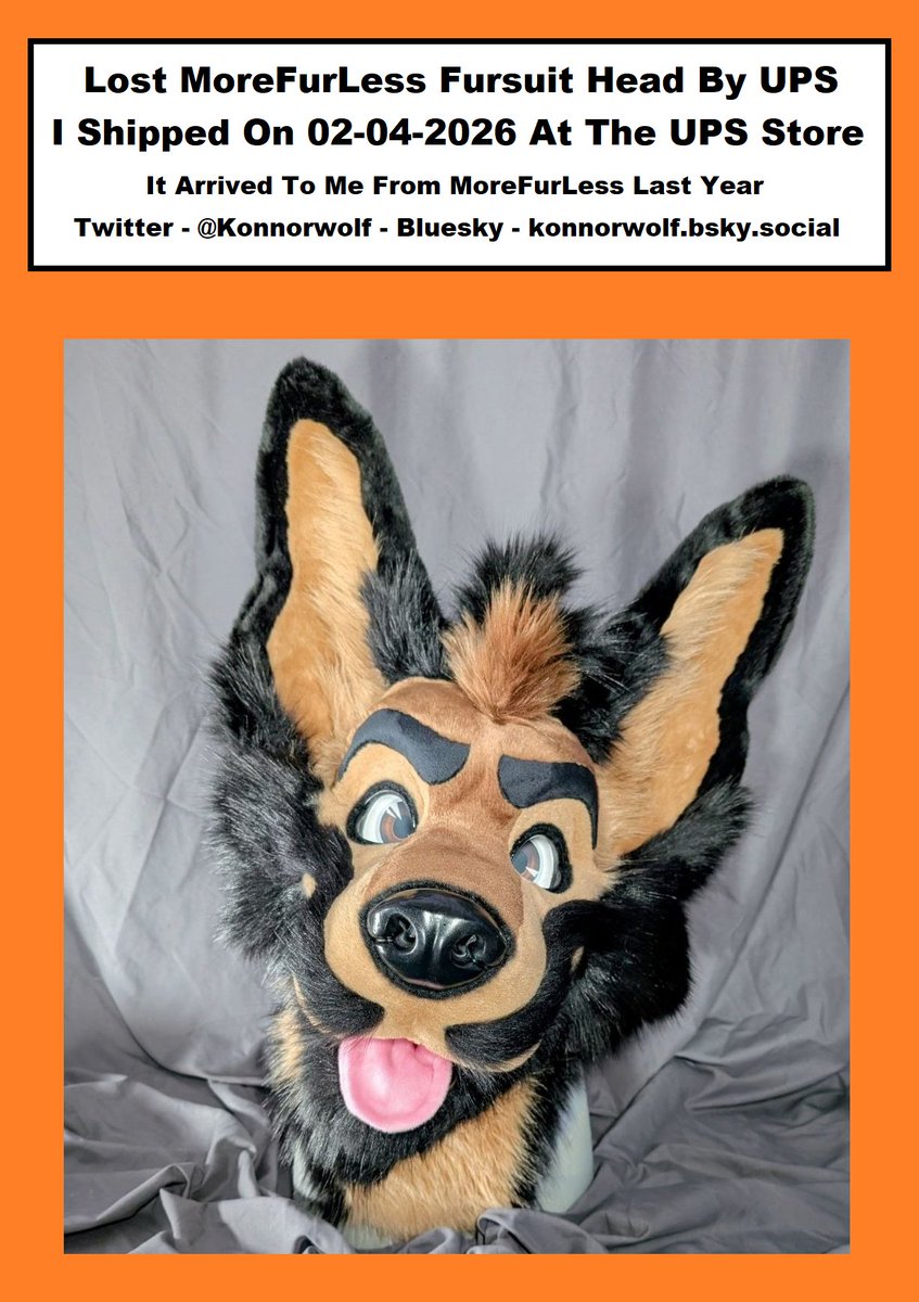 Konnorwolf tweet media