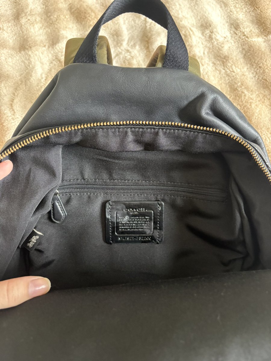 𝚋𝚊𝚗𝚘𝚏𝚏𝚎𝚎𝚒𝚛𝚕𝚒𝚢 🪽 tweet media