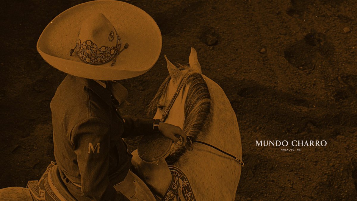 Reflexion24Info's tweet photo. Mundo #charro presenta #linaje CHARRO, un #torneo que marca el inicio de una nueva #Tradición 
https://t.co/lpzrvPJVIb
#reflexion24informativo #México #Hidalgo #tradiciones https://t.co/PUT4E3GebI